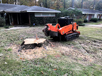 Capital City Stump Grinding - Photo 3 - Car repair in , Montgomery