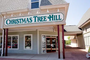 Christmas Tree Hill at Gettysburg Village image