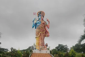 Ardhanariswara Murti image