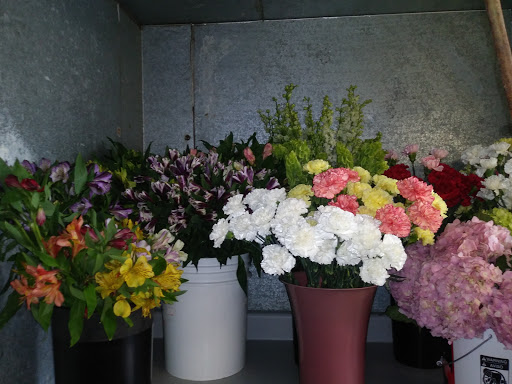 Florist «Desert Oasis Floral», reviews and photos, 13220 W Van Buren St, Goodyear, AZ 85338, USA
