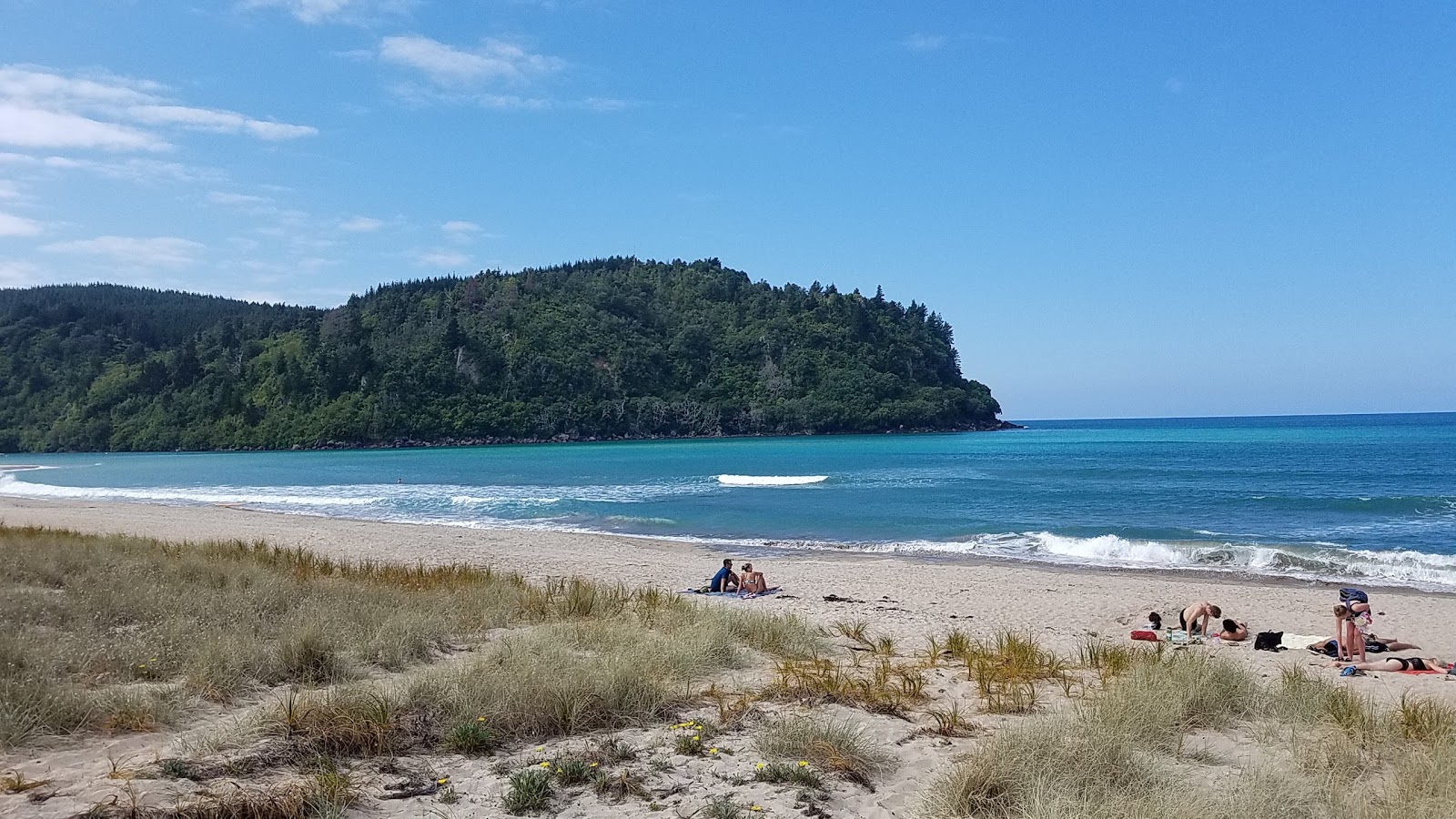 Whangamata Beach的照片 带有碧绿色纯水表面