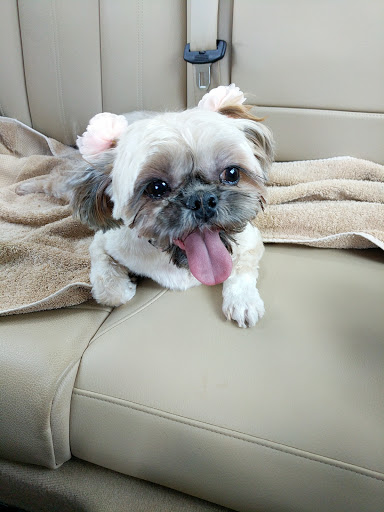 Pet Supply Store «PetSmart», reviews and photos, 13337 Worth Ave, Woodbridge, VA 22192, USA