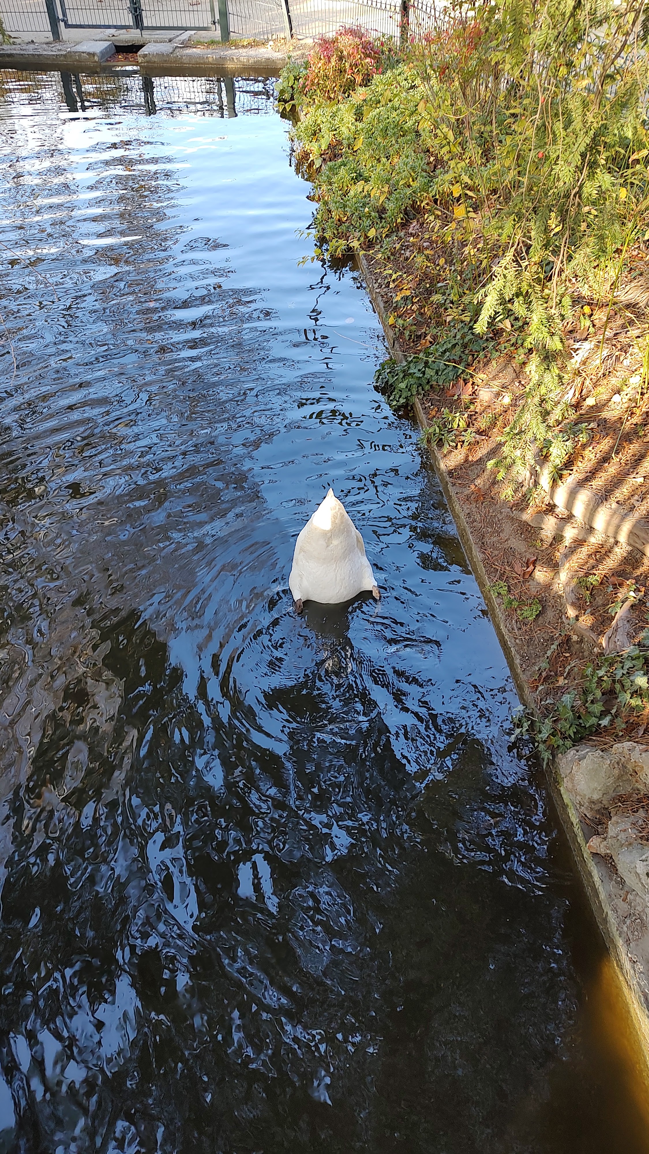 Photo n° 5 de l'avis de Romulus.o fait le 21/11/2022 à 12:52