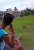 user
