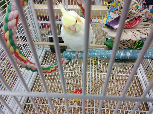 Pet Supply Store «Pet Supermarket», reviews and photos, 465 State Rd 13, Fruit Cove, FL 32259, USA