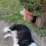 Photo n°1 de l'avis de Claus.� fait le 27/05/2019 à 22:04 sur le  Locanda le Isole à Scarperia e San Piero