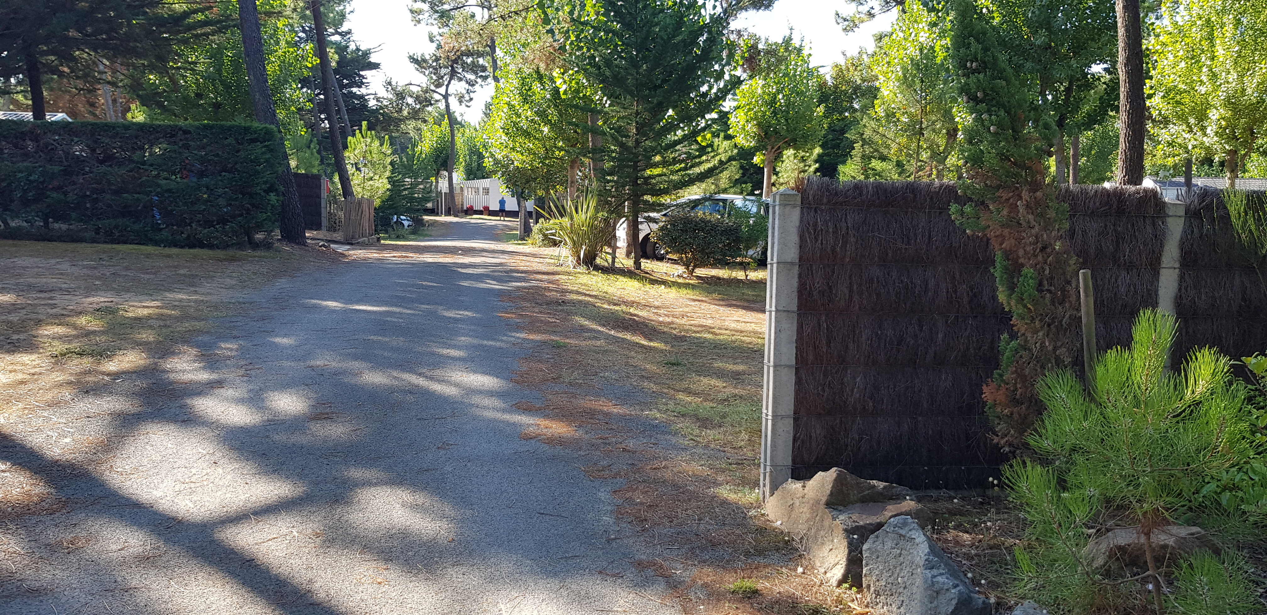 Photo n° 9 de l'avis de DIDIER.O fait le 01/09/2018 à 11:31
