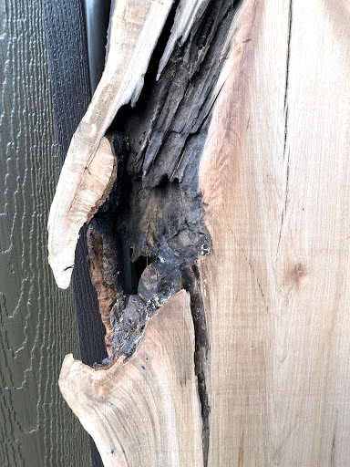 Hardware Store «Asheville Hardware», reviews and photos, 10 Buxton Ave, Asheville, NC 28801, USA