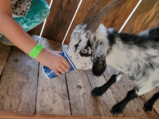 Christmas Tree Farm «Sleepy Hollow Farm & Escape Woods», reviews and photos, 628 Sleepy Hollow Rd, Powder Springs, GA 30127, USA