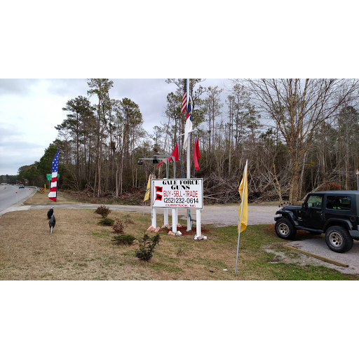 Gun Shop «Gale Force Guns», reviews and photos, 2198 Caratoke Hwy, Moyock, NC 27958, USA
