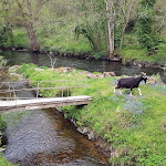 Photo n° 4 de l'avis de Dave. fait le 16/05/2021 à 12:42 pour Gîtes de charmes - Moulin Du Pont Neuf à Le Vieux-Marché