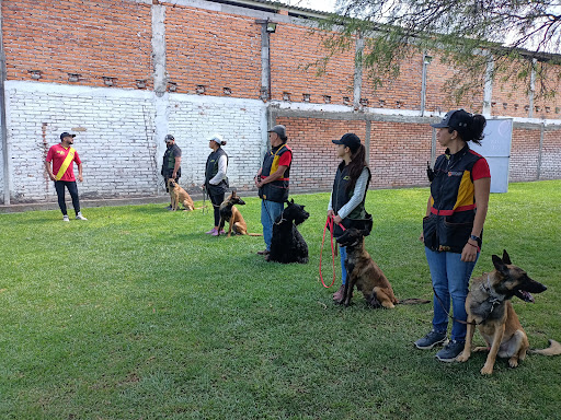EPICAN Dog Training Center