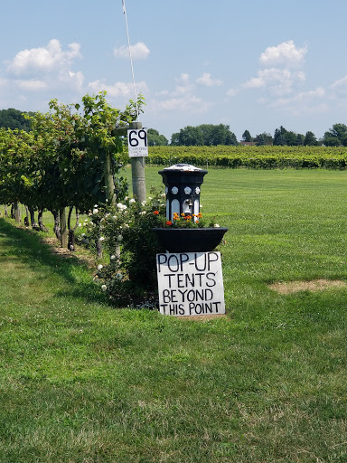 Winery «Working Dog Winery», reviews and photos, 610 Windsor Perrineville Rd, Robbinsville, NJ 08691, USA