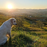 Photo n°1 de l'avis de Alexander.t fait le 22/12/2021 à 15:55 sur le  Tenuta Poggio Pollino à Imola