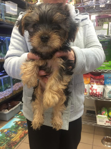 Pet Store «Pets of Portage», reviews and photos, 2219 W Wisconsin St, Portage, WI 53901, USA