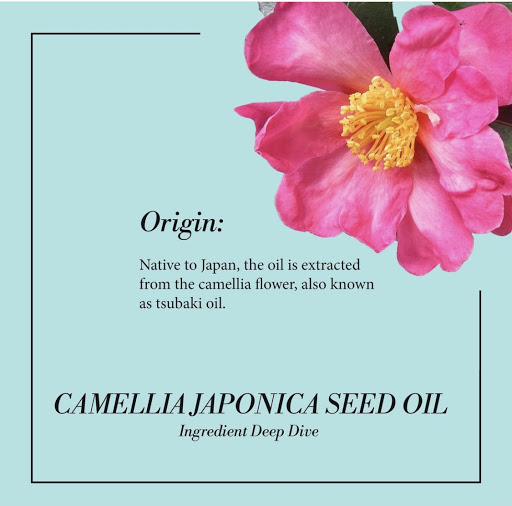 Beauty Salon «Allure Salon & Spa», reviews and photos, 4614 Broadway, Allentown, PA 18104, USA