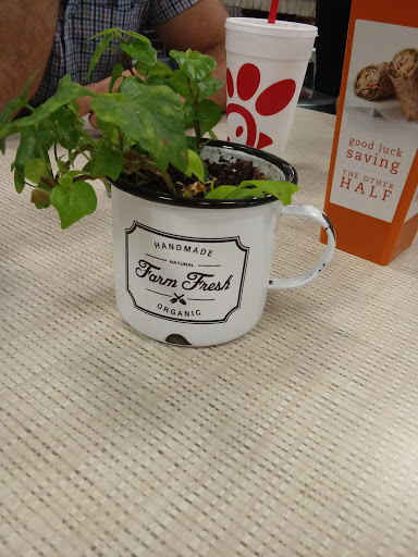 Fast Food Restaurant «Chick-fil-A», reviews and photos, 996 US-287 BYP, Waxahachie, TX 75165, USA