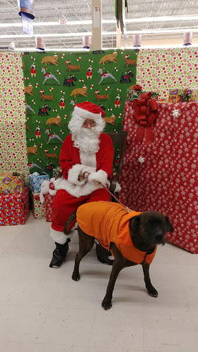 Pet Supply Store «PetSmart», reviews and photos, 7355 Market Pl Dr, Aurora, OH 44202, USA