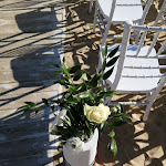 Photo n°32 de l'avis de Giorgio.J fait le 05/09/2023 à 04:21 sur le  Il Mediterraneo Beach Resort à Santa Marinella