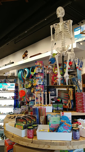 Toy Store «Coolest Toys On Earth», reviews and photos, 6840 Wooster Pike, Cincinnati, OH 45227, USA