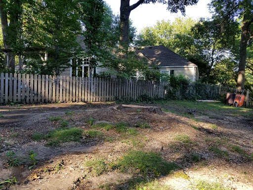 Level Ground Stump Removal