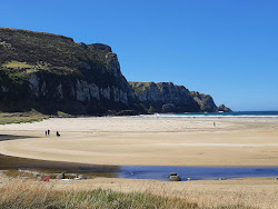 Purakaunui Bay Beach'in fotoğrafı #43 ile birlikte