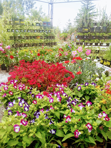 Oficiales jardineria Puebla