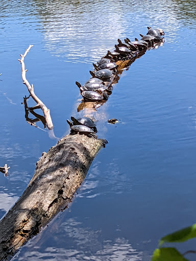 Park «Langton Lake Park», reviews and photos, 1894 County Rd C2 W, Roseville, MN 55113, USA