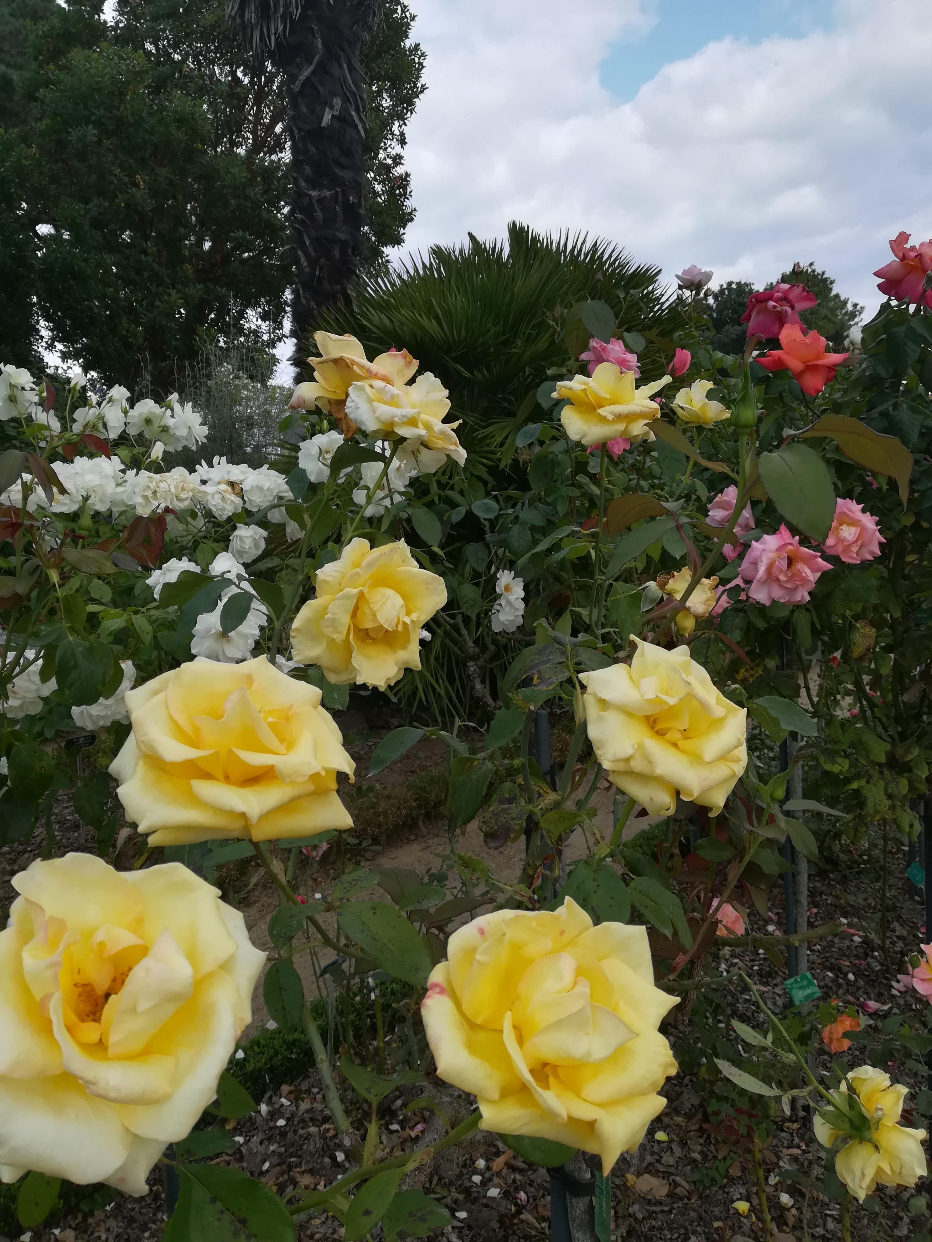 Photo n° 2 de l'avis de Joé.i fait le 23/08/2021 à 17:02