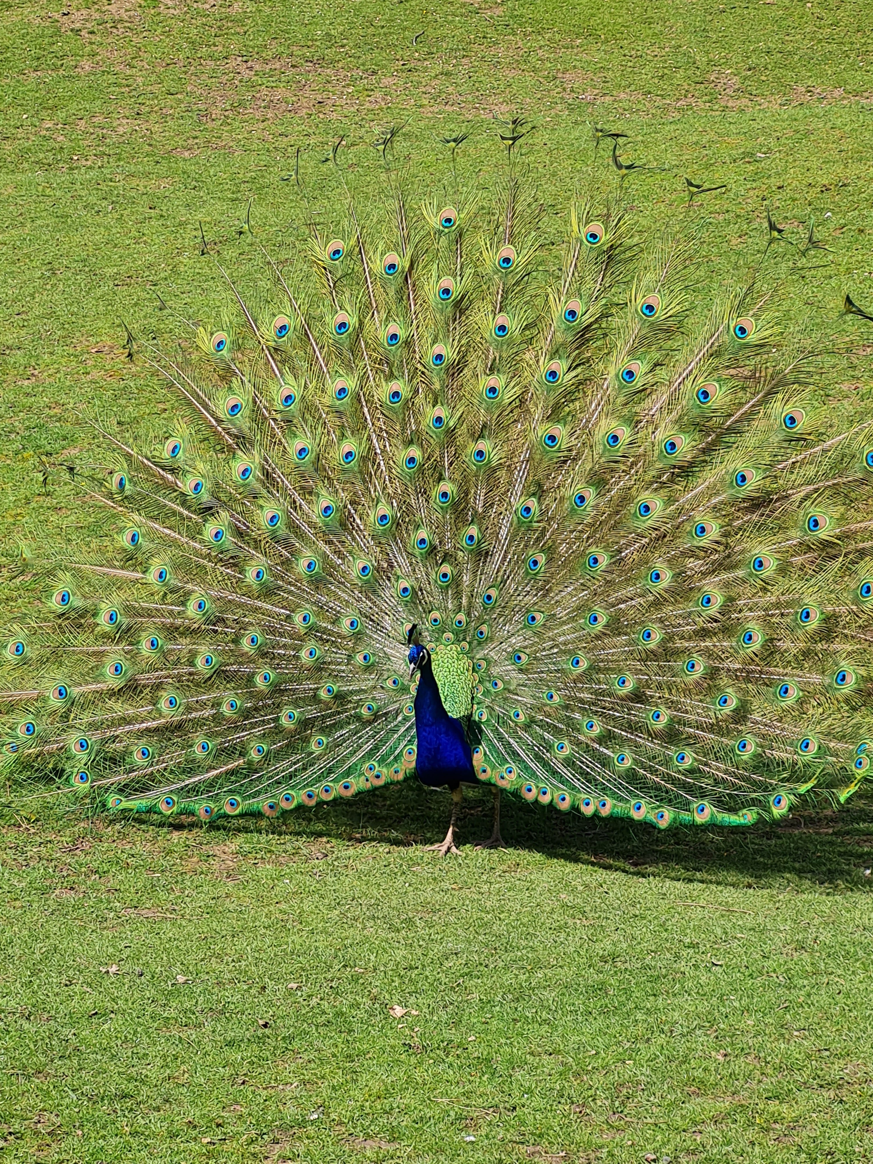 Photo n° 5 de l'avis de Stephanie.i fait le 07/05/2023 à 08:53