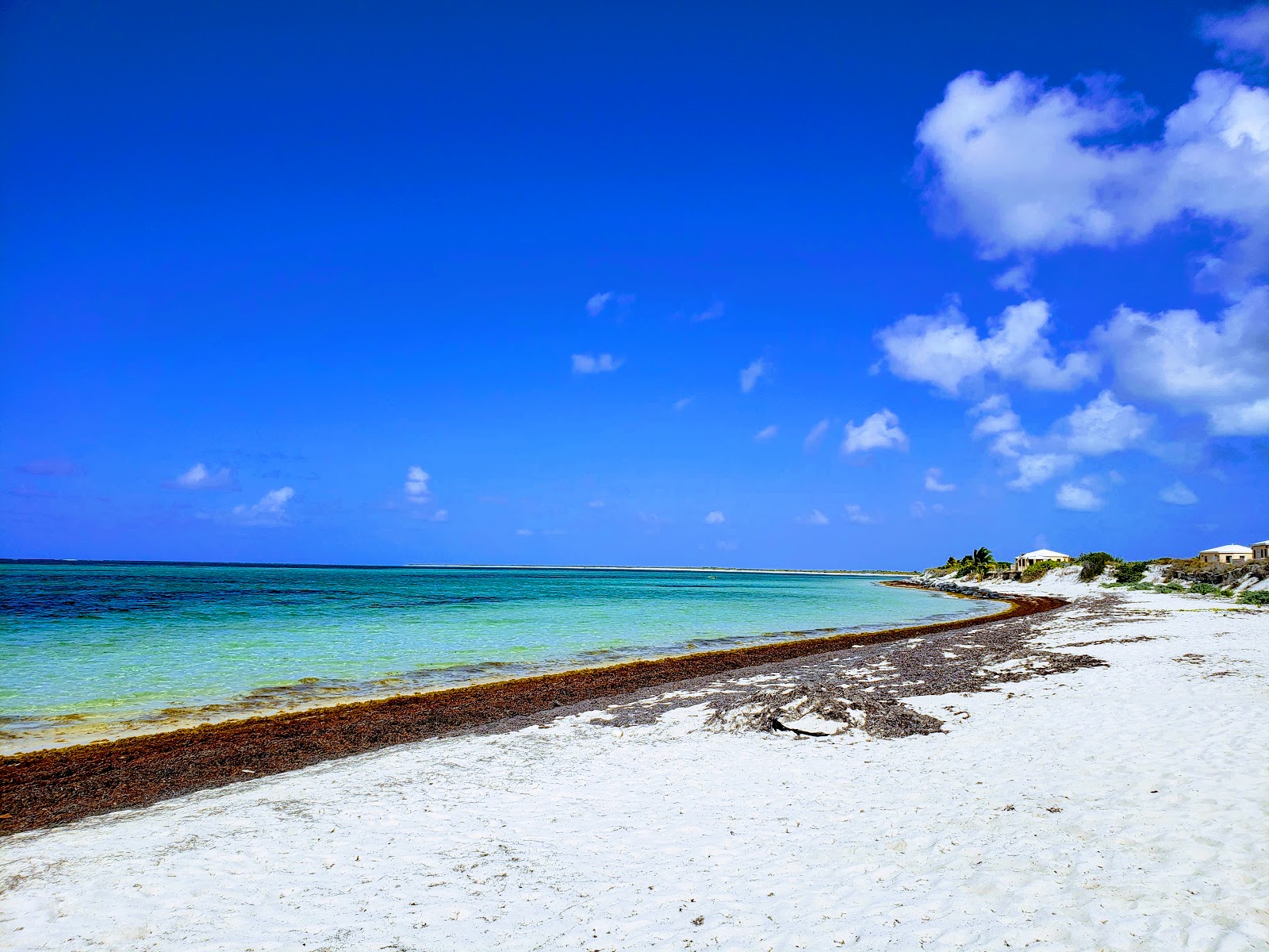 Photo of Anegada beach and the settlement