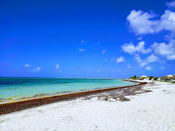 Photo de Anegada beach - endroit populaire parmi les connaisseurs de la détente