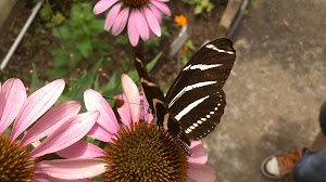 Sweetbriar Park - photo 100
