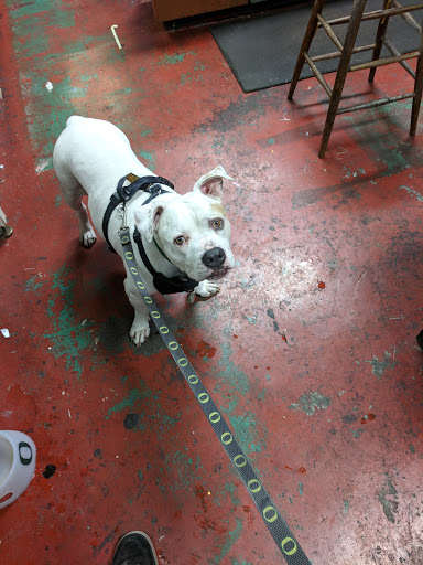 Commercial Printer «Paulson Printing Co», reviews and photos, 125 N 19th St, St Helens, OR 97051, USA