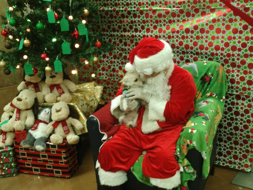 Pet Supply Store «PetSmart», reviews and photos, 1733 S Stapley Dr, Mesa, AZ 85204, USA