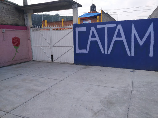 CATAM 2