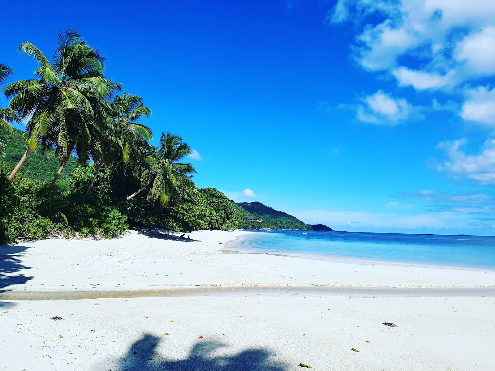 Foto de Grand Anse beach con recta y larga