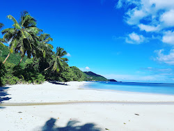 Foto von Grand Anse beach mit sehr sauber Sauberkeitsgrad