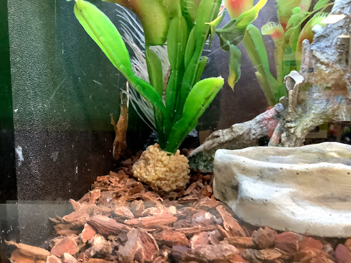 Pet Supply Store «PetSmart», reviews and photos, 1038 Crossings Blvd, Spring Hill, TN 37174, USA