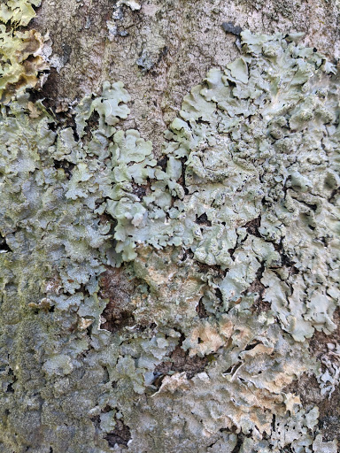 Tourist Attraction «Caesar Creek Visitor Center», reviews and photos, 4020 N Clarksville Rd, Waynesville, OH 45068, USA