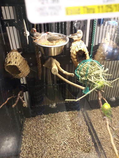 Pet Supply Store «PetSmart», reviews and photos, 1954 Santa Rosa Ave, Santa Rosa, CA 95407, USA