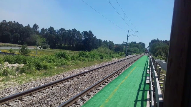 Transportes Alvarães Lda - Viana do Castelo