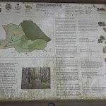 Photo n°12 de l'avis de irene.a fait le 27/07/2018 à 21:49 sur le  Parco Santa Giulia Ristorante by serviti e riveriti con gusto à Monchio