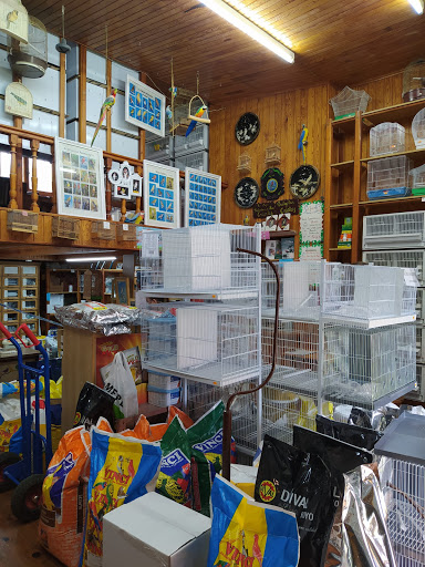 Pajarería Las Aves del Paraíso en Segovia