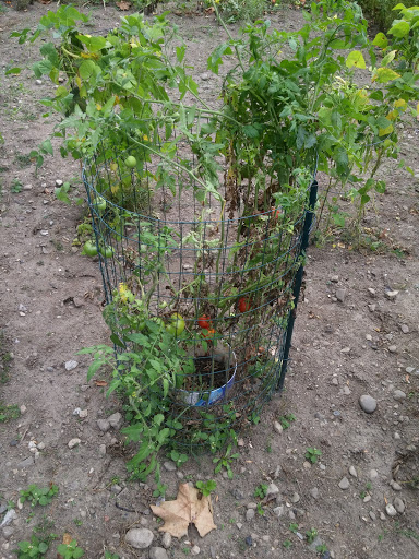 Vineyard «Torne Valley Vineyard», reviews and photos, 1 Torne Valley Rd, Hillburn, NY 10931, USA