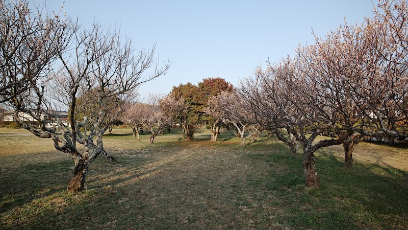 佐伯門東側広場