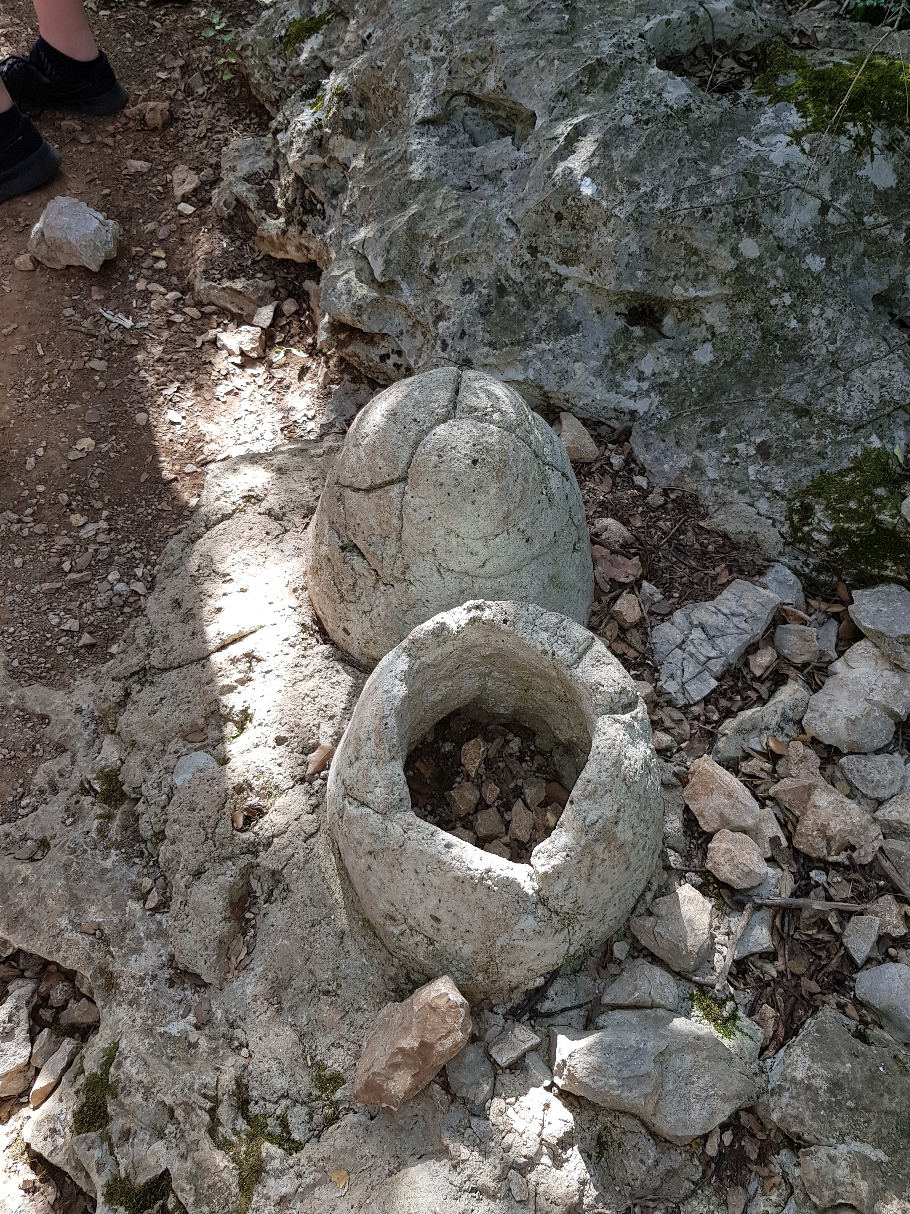 Photo n° 44 de l'avis de Dominique.o fait le 19/08/2021 à 11:21