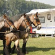 Uit-jeTent Weekend Noordoostpolder