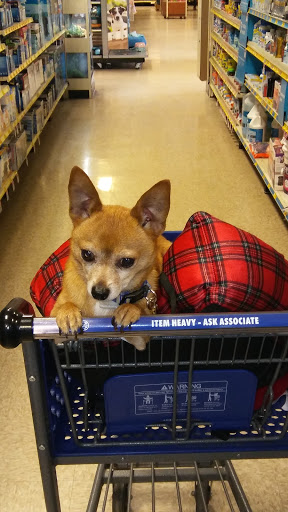 Pet Supply Store «PetSmart», reviews and photos, 9342 WI-16, Onalaska, WI 54650, USA