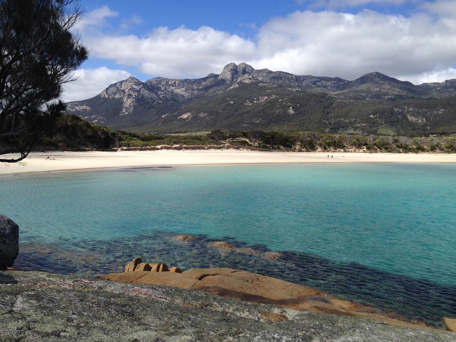 Foto di Trousers Point Beach con una superficie del sabbia beige